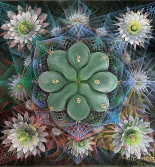 gateway-tatiana-kiselyova